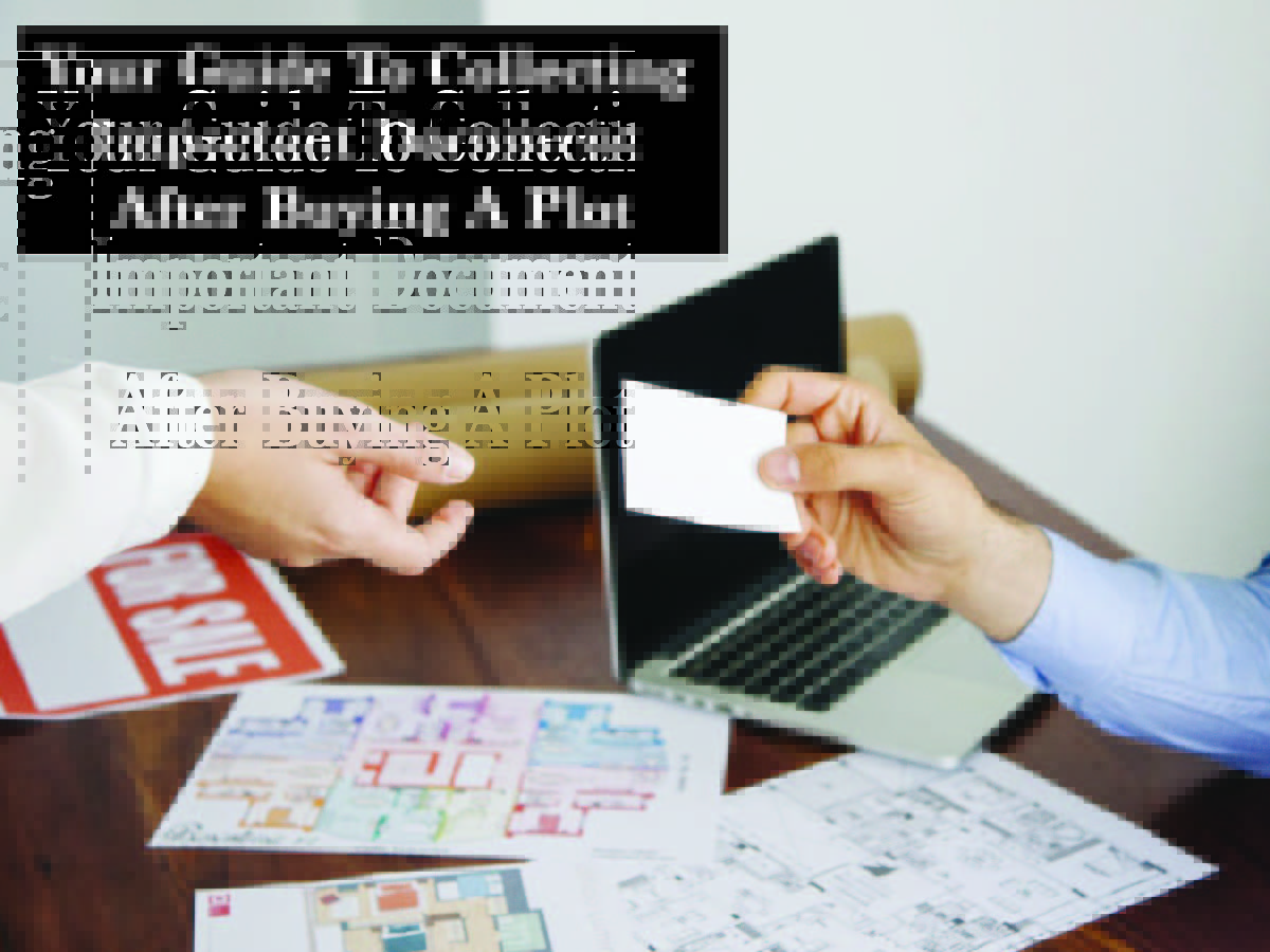 Your Guide to Collecting Important Documents After Buying a Plot
